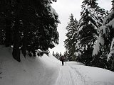 Salita con ciaspole al Rif. Magnolini (1612 m.) e al Monte Alto (1723 m.) dalla Malga alta di Pora il 7 marzo 09 - FOTOGALLERY